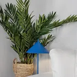 Casa Boma - Elegant And Charming - Alcantara V * 리스본